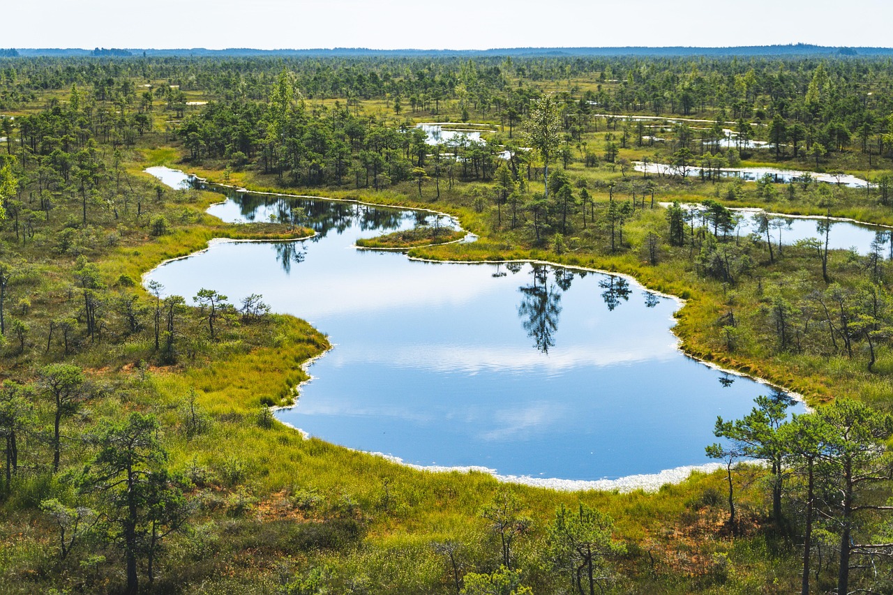 Estonia